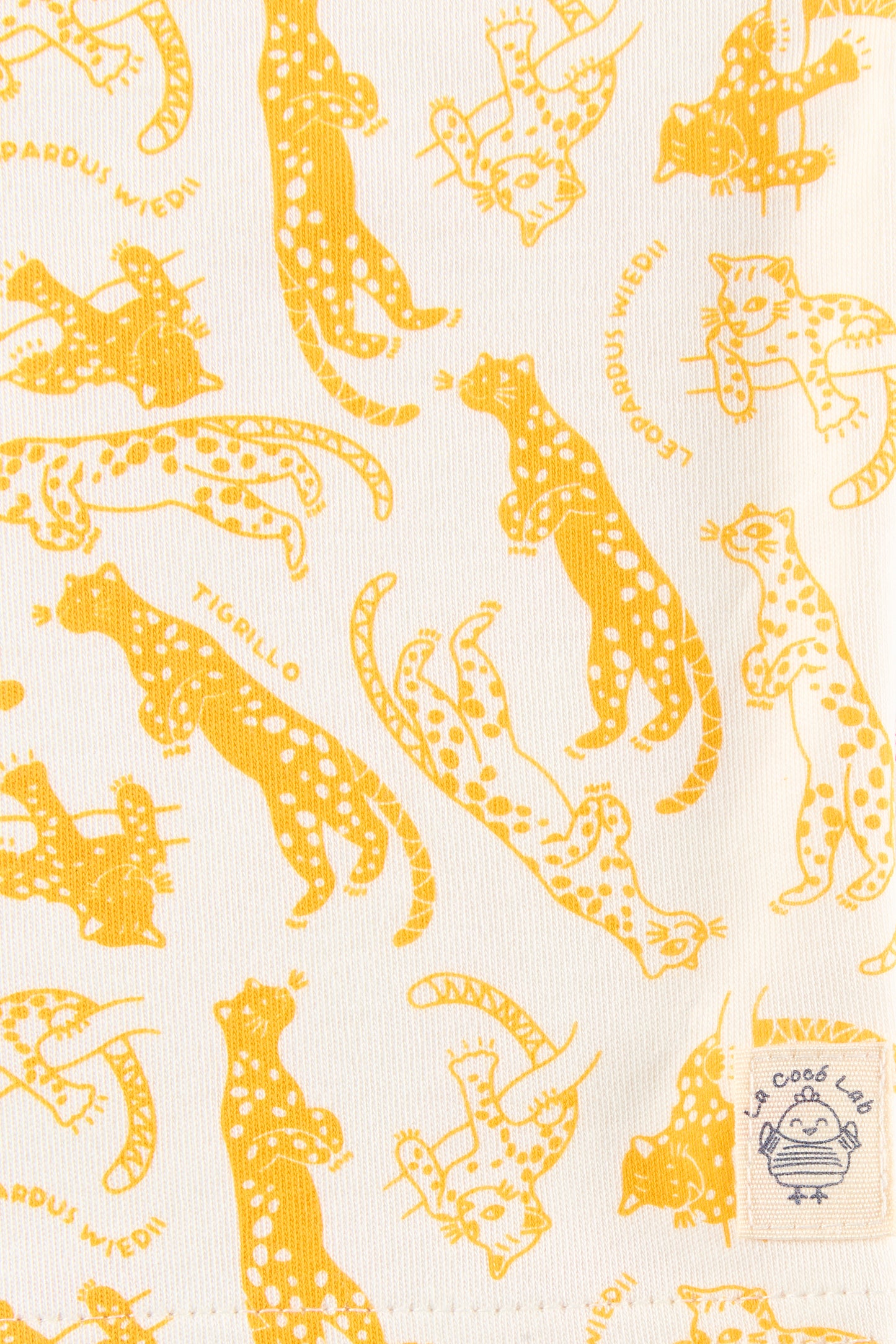 Tigrillo-Leopardus Wiedii Pjs