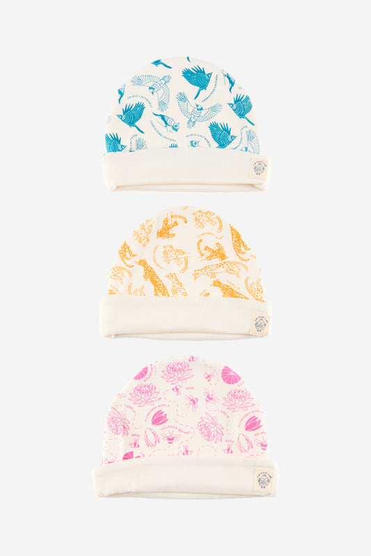 Gorritos
