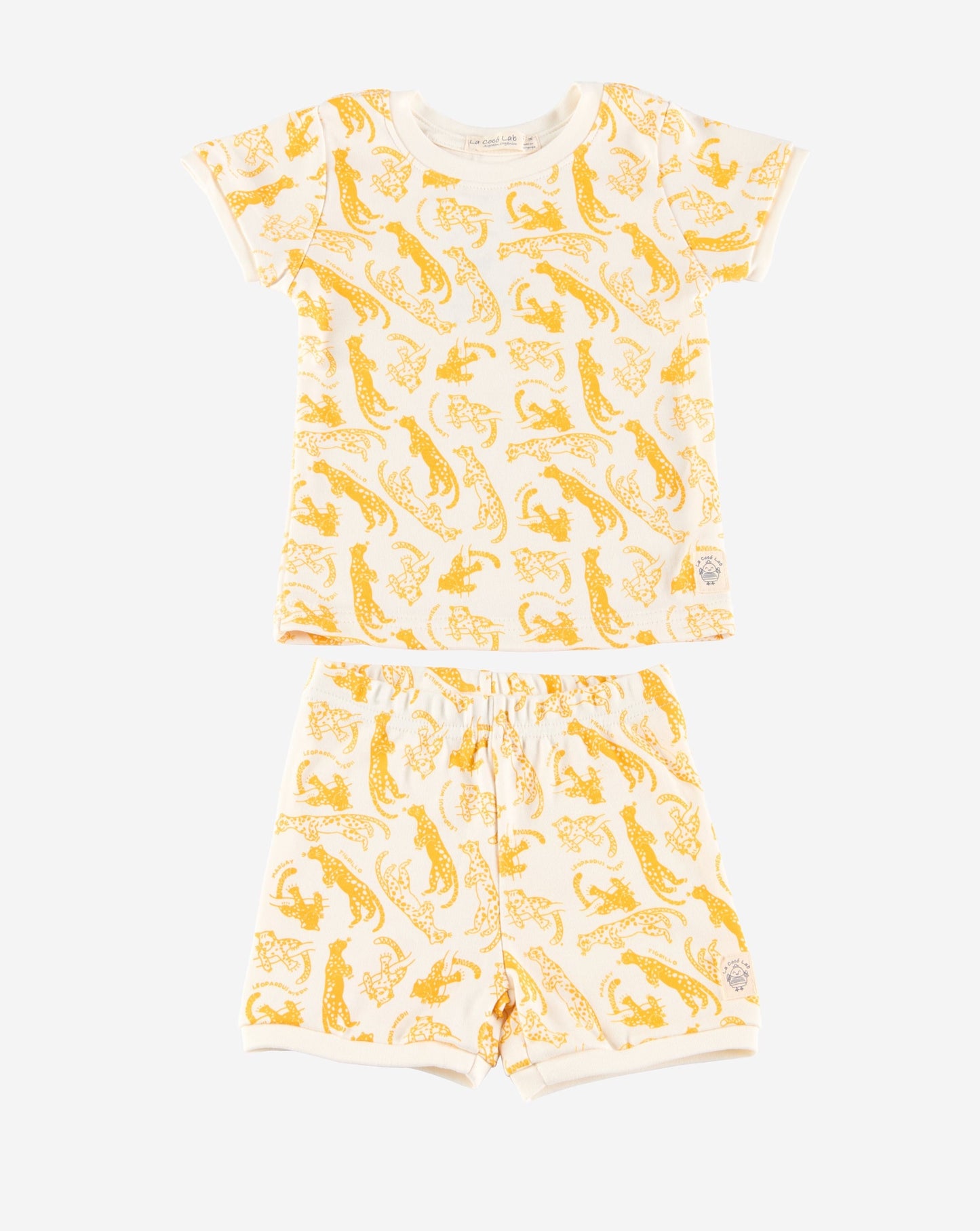 Tigrillo-Leopardus Wiedii Pjs