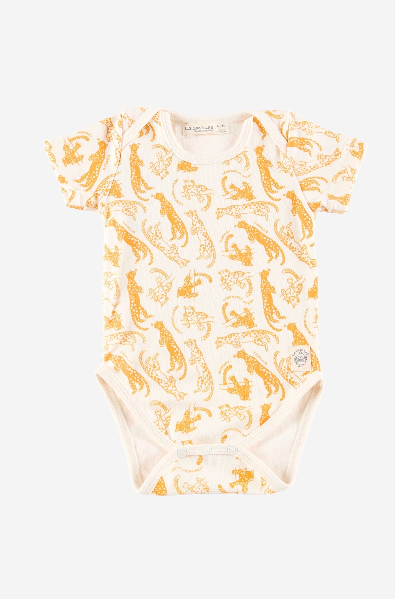 Tigrillo-Leopardus Wiedii Body