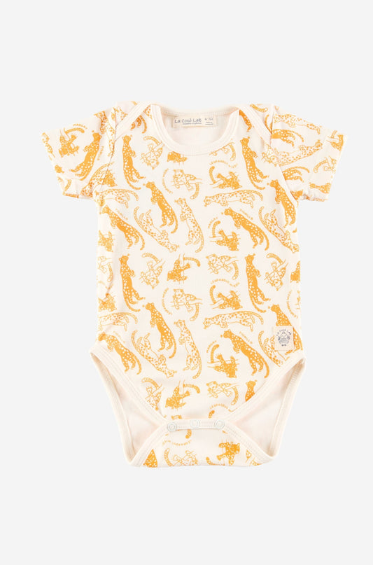 Tigrillo-Leopardus Wiedii Body